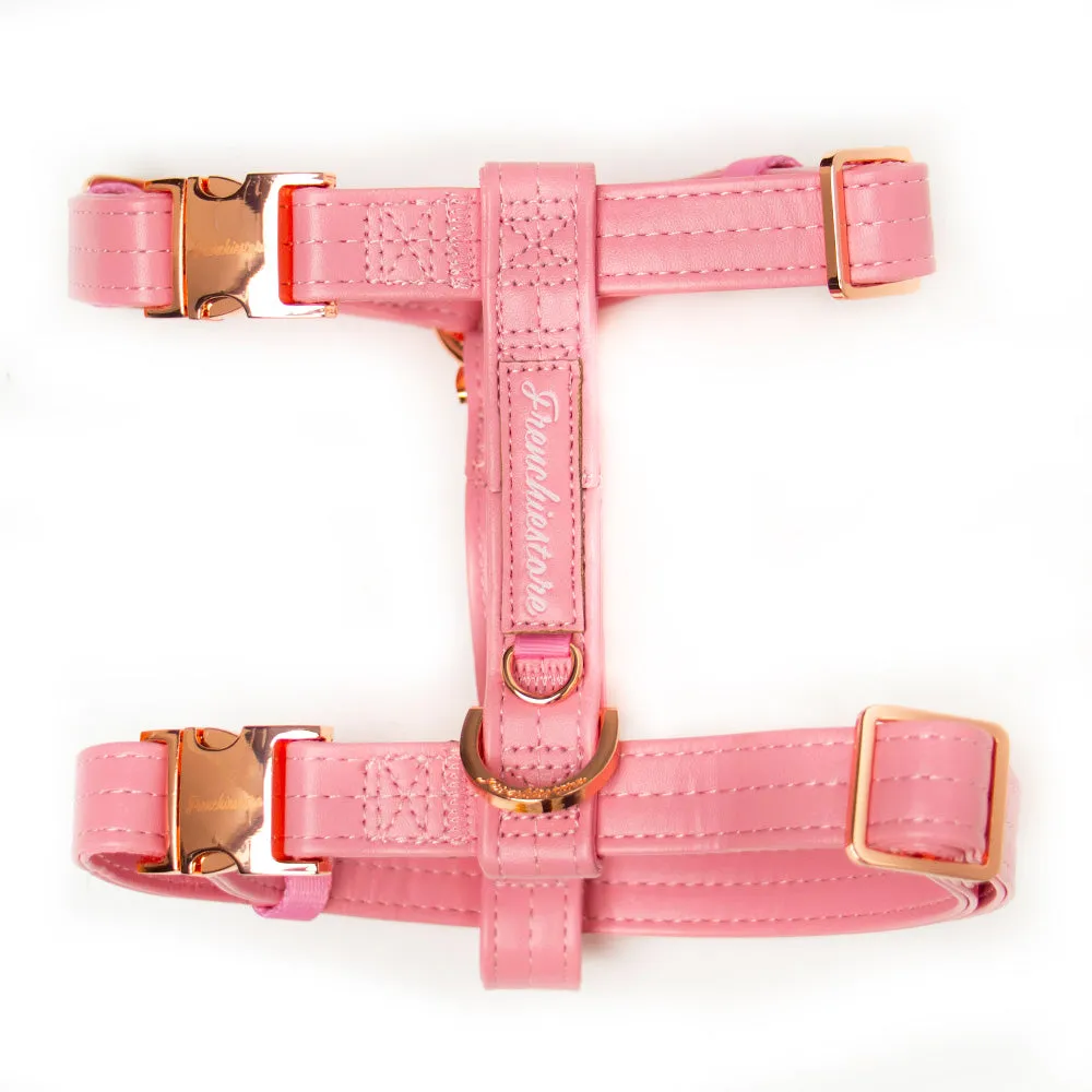 Adjustable Pet Health Strap Harness | Blushed