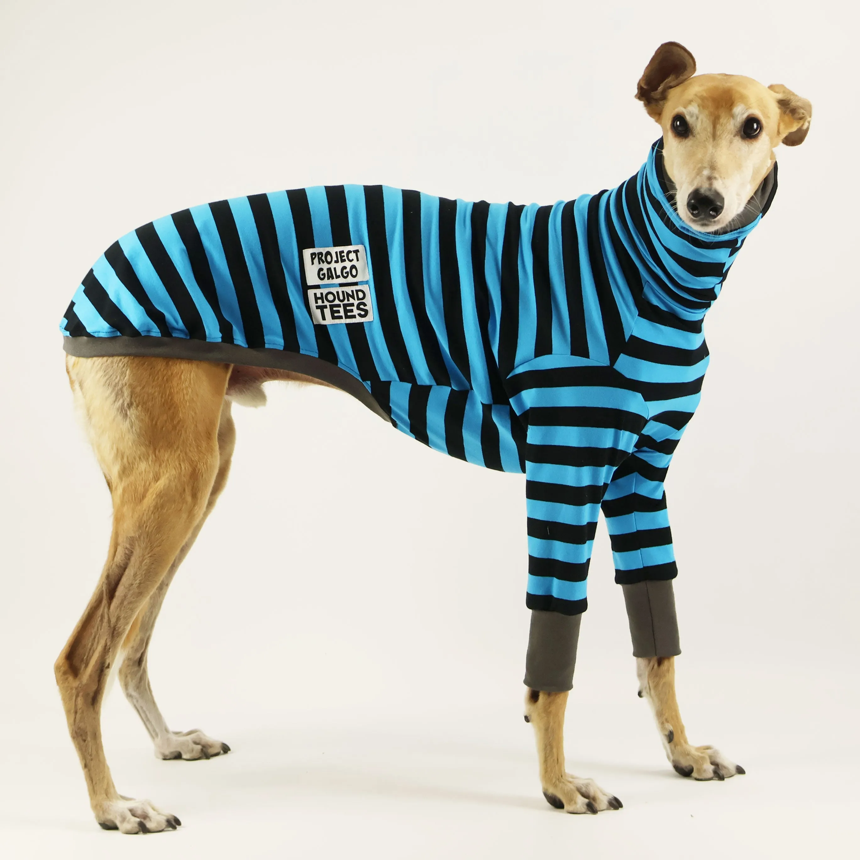 Project Galgo Long Sleeve Greyhound Hound-Tee