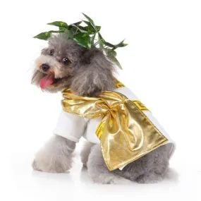 Zeus Pet Costume