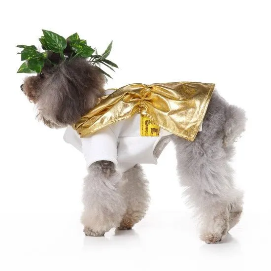 Zeus Pet Costume